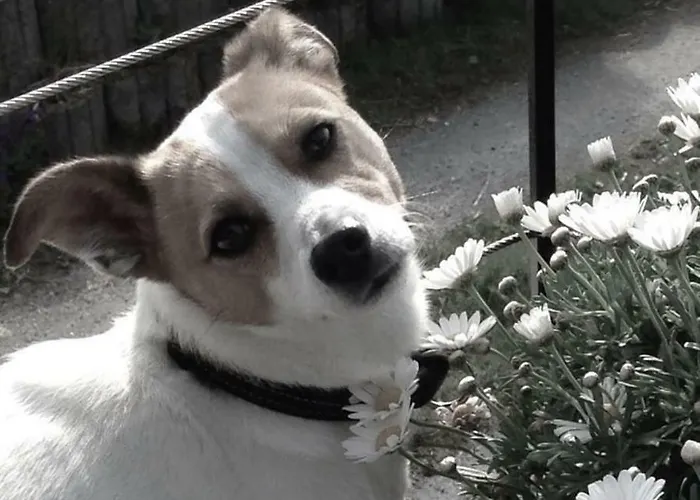 Fewo_ortszeit Appartement